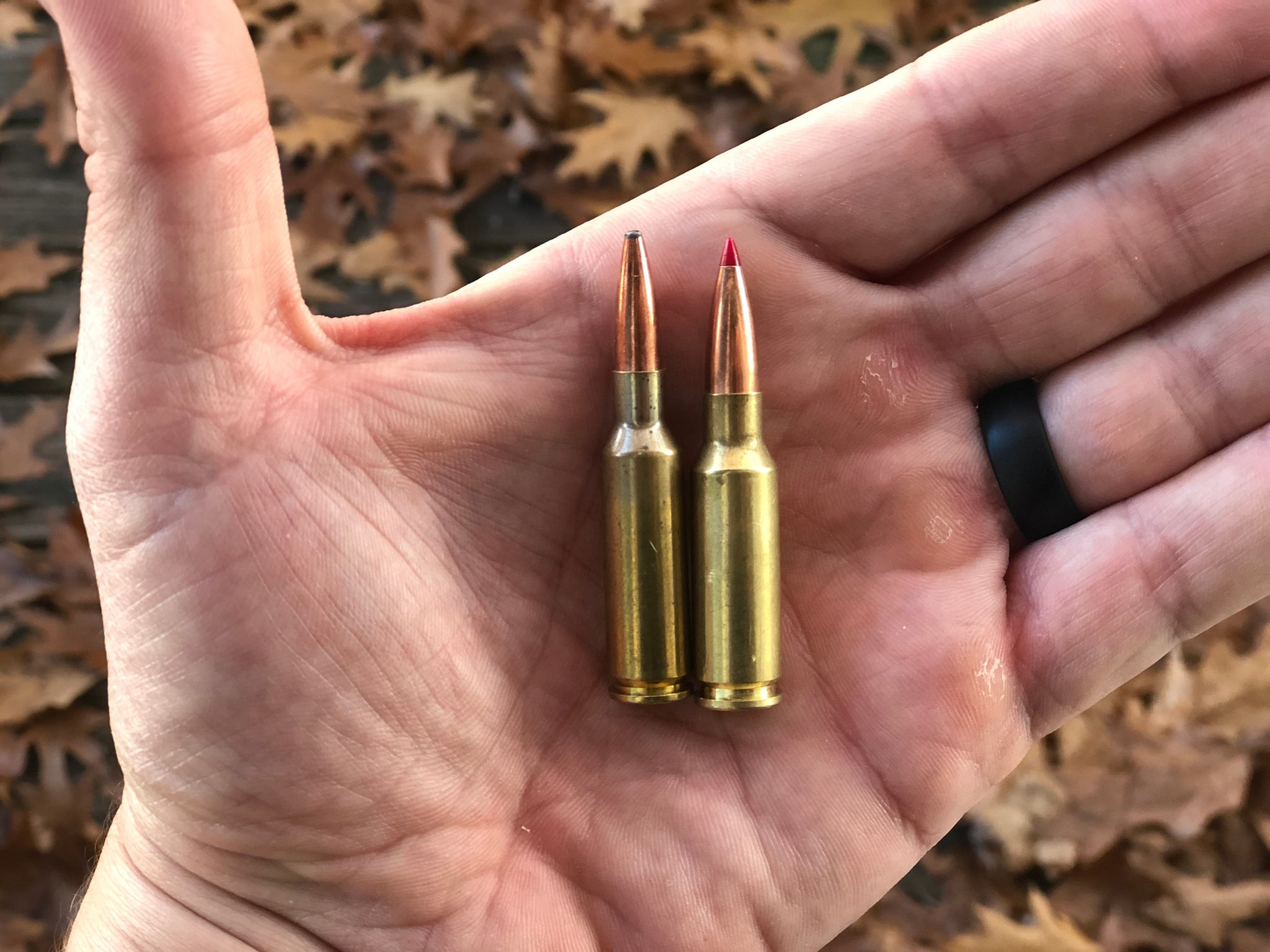 6-5-creedmoor-vs-6-5-grendel-components-features-and-more